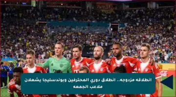 انطلاقة مزدوجة.. انطلاق دوري المحترفين وبوندسليجا يشعلان ملاعب الجمعة
